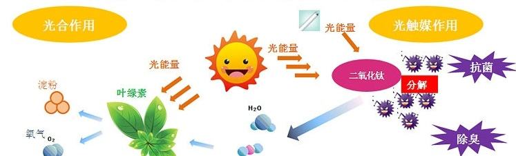 甲醛治理用什么辦法最正確？這三點常見的除甲醛辦法其實是誤區(qū)