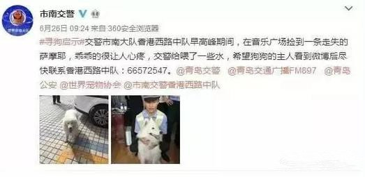 有問題找警察，薩摩耶派出所報案，不注意這件事，對狗狗致命，警察蜀黍卻幫不上忙！