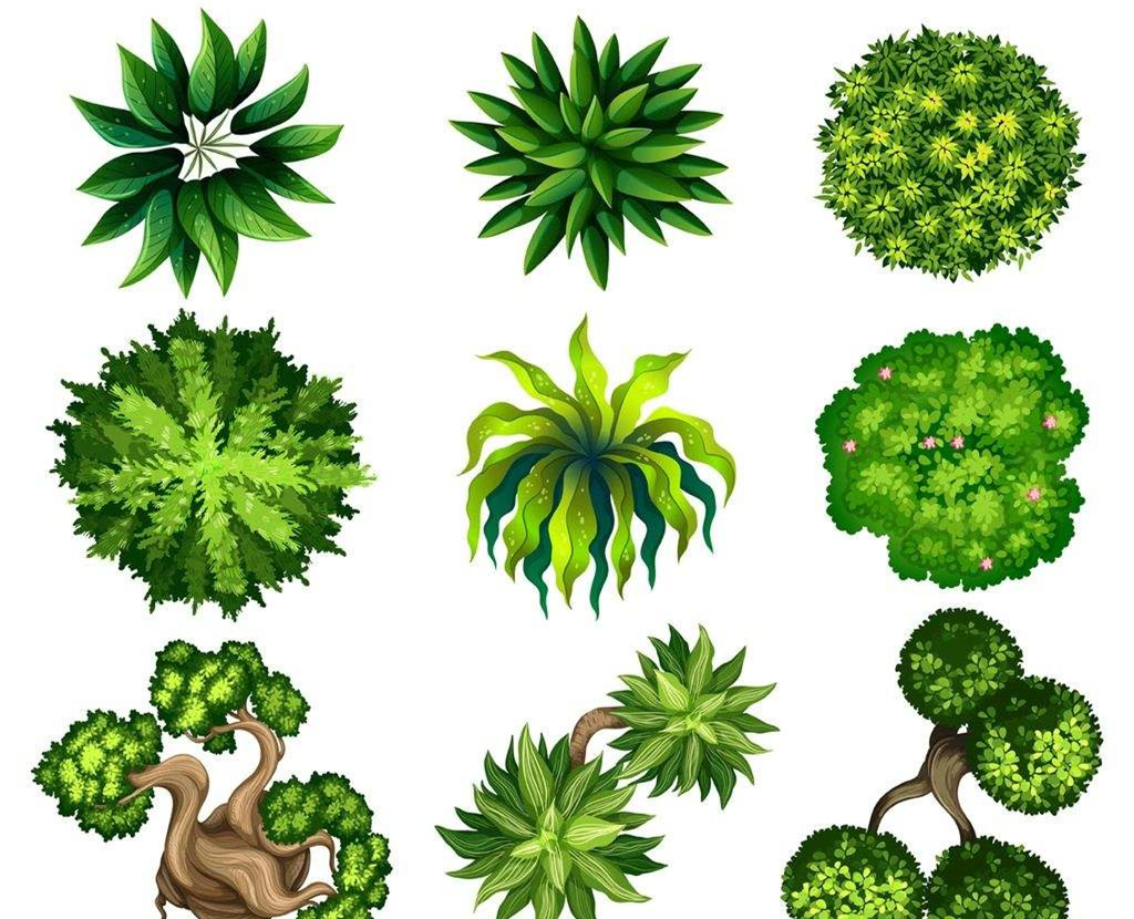 可以凈化室內(nèi)空氣的植物，這二十種您需要好好了解一下！