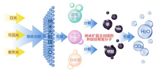 洋蔥可以除甲醛？民間流傳土方法可信嗎？