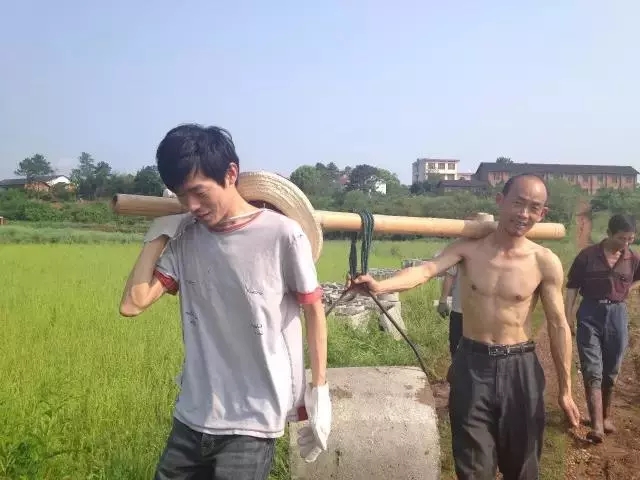 青春是用來(lái)奮斗的，除甲醛的青春最美麗！