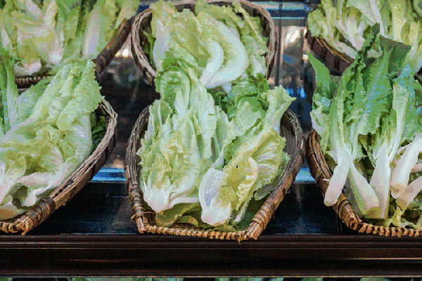 夏至高溫預(yù)警！消暑養(yǎng)生秘笈了解一下？