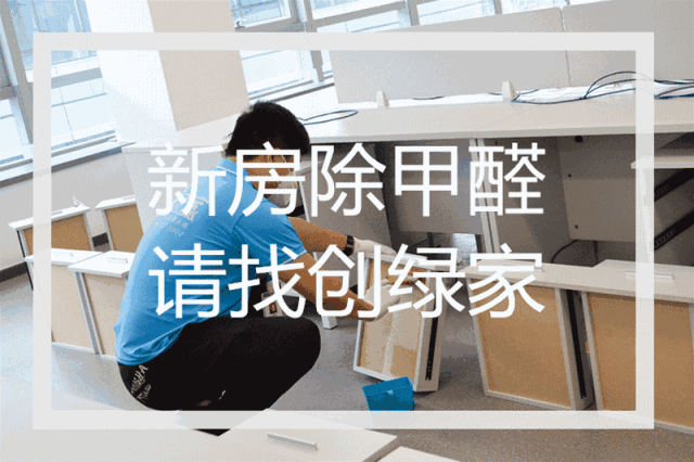 誰說***是多么寂寞，創(chuàng)綠家?guī)惺芟略?00強企業(yè)工作是怎樣的體驗！