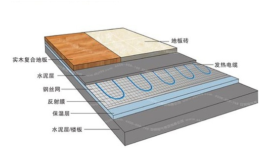 冬季，它們成了甲醛的幫兇