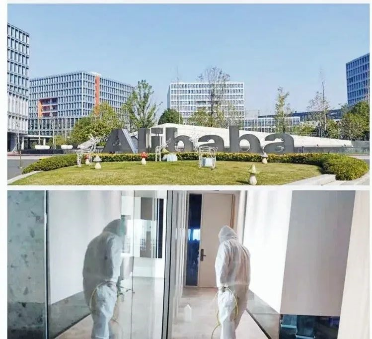 吾志所向，一往無前 | 創(chuàng)綠家2020年大事記