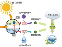 好的光觸媒甲醛治理產(chǎn)品需要具備什么核心？