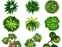 可以凈化室內(nèi)空氣的植物，這二十種您需要好好了解一下！