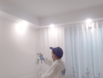 什么辦法去除甲醛比較好？