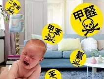 光觸媒除甲醛價(jià)格怎么樣？貴不貴？