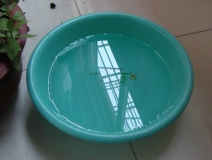 裝修完僅靠?jī)膳枥渌湍艹兹?？這個(gè)說法連網(wǎng)友都出來辟謠！大家別再相信了！
