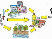 食品中有塑化劑嗎？這些食品中含有大量塑化劑，食用時(shí)一定要注意！