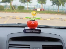 新車除醛，車內(nèi)除甲醛什么辦法最好？
