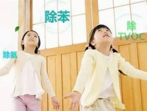新房裝修甲醛來(lái)自哪里？