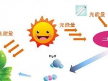 甲醛治理用什么辦法最正確？這三點(diǎn)常見的除甲醛辦法其實(shí)是誤區(qū)