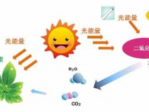 家中甲醛超標(biāo)，什么才是甲醛治理的正確姿勢(shì)？