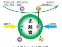 您知道或者聽說(shuō)過(guò)光觸媒嗎？