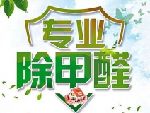 除甲醛公司的專業(yè)性表現(xiàn)在哪些方面？