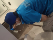 地毯也會引起甲醛超標嗎？