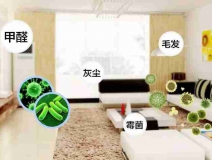 網(wǎng)上的除甲醛好辦法真的有效嗎？原理是什么