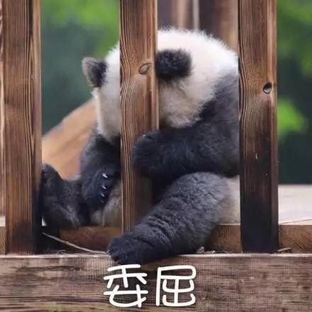 別大意！七大除甲醛“誤區(qū)”，信了你反而會生病！通風(fēng)、綠植、活性炭、熏蒸……你中招了嗎？