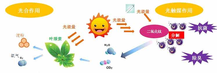 家中甲醛超標，什么才是甲醛治理的正確姿勢？