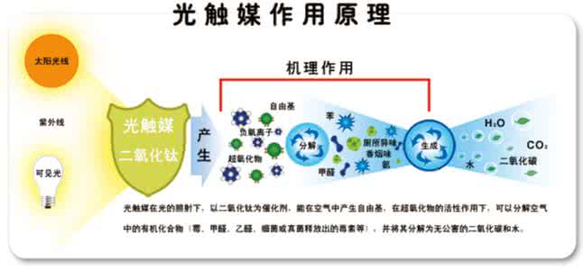 如何去除車內甲醛？